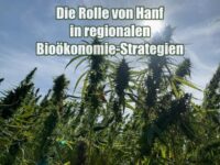 Die Rolle von Hanf in regionalen Bioökonomie-Strategien