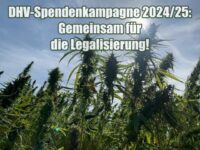 DHV-Spendenkampagne 2024/25: Gemeinsam für die Legalisierung