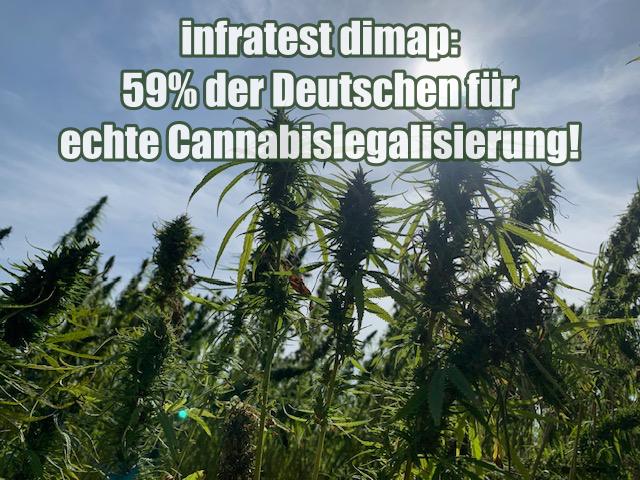 infratest dimap: 59% der Deutschen für echte Cannabislegalisierung!